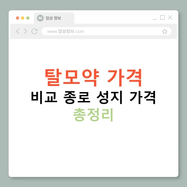 탈모약 가격 비교 종로 성지 가격 총정리