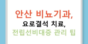 안산 비뇨기과, 요로결석 치료, 전립선비대증 관리 팁