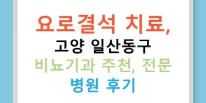 요로결석 치료, 고양 일산동구 비뇨기과 추천, 전문 병원 후기