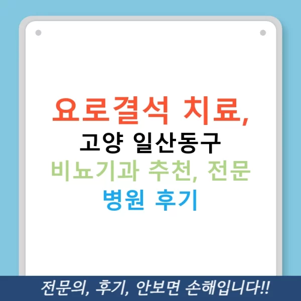 요로결석 치료, 고양 일산동구 비뇨기과 추천, 전문 병원 후기