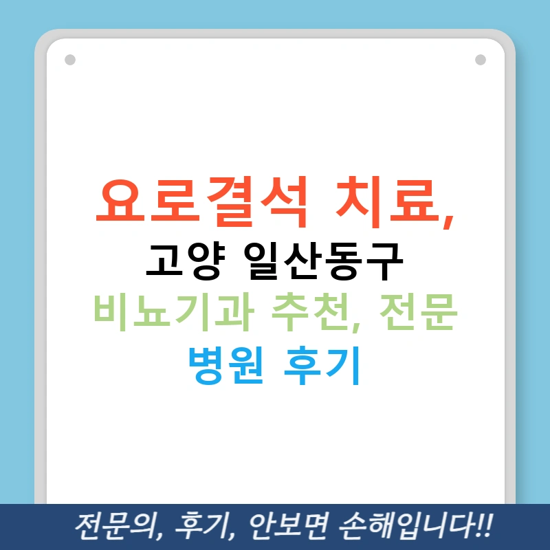 요로결석 치료, 고양 일산동구 비뇨기과 추천, 전문 병원 후기
