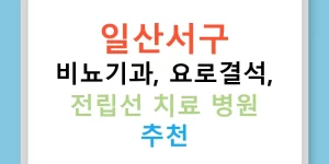 일산서구 비뇨기과, 요로결석, 전립선 치료 병원 추천