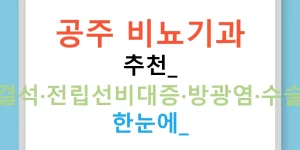 공주 비뇨기과 추천: 요로결석·전립선비대증·방광염·수술비용 한눈에!